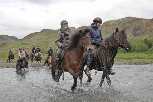 Caballos Islandia
