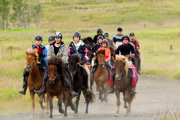 Tour a caballo en Islandia