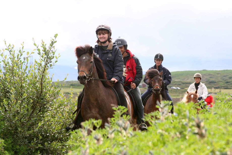 Montar a caballo en Islandia