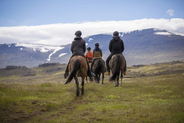 Tour a caballo en Islandia