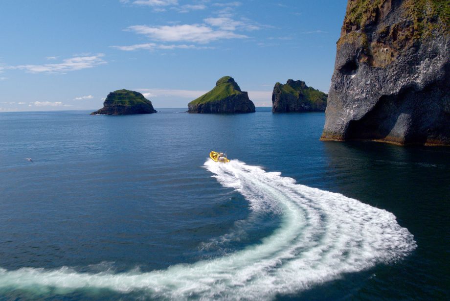Rib Safari en las Islas Vestman