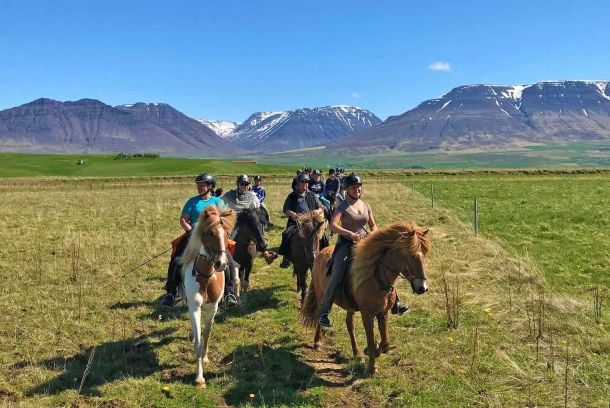 Tour guiado a caballo en Islandia