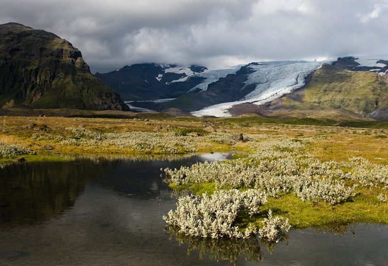 Excursión glaciar Vatnajökull