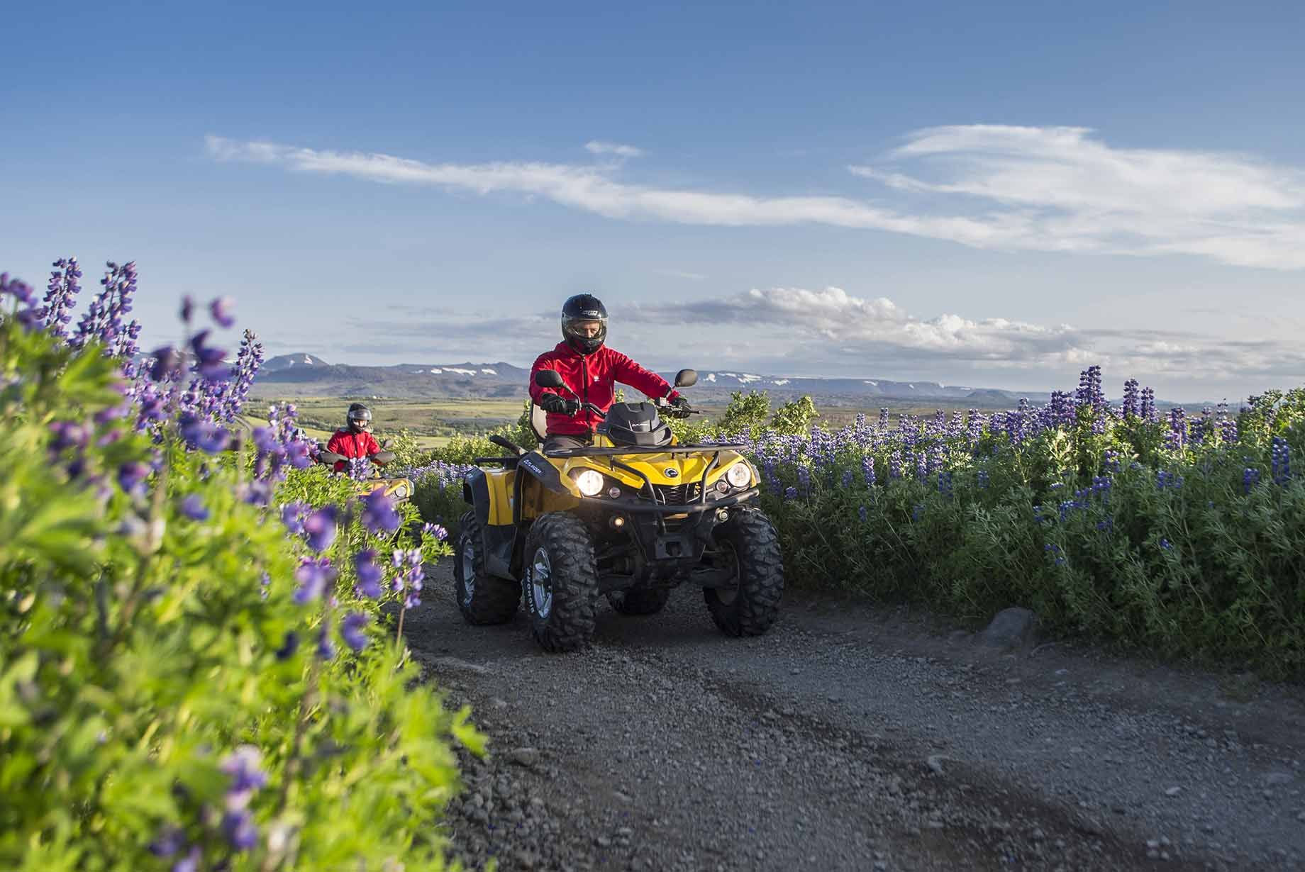 Recorrido en quad 4x4 Twin Peaks