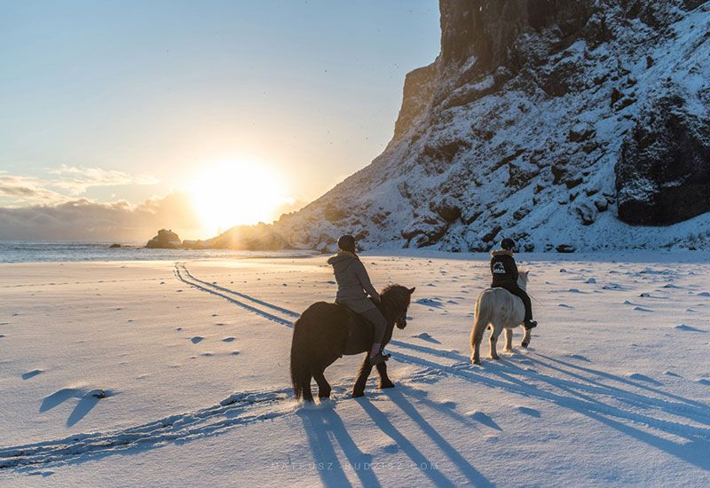 Caballos Islandia