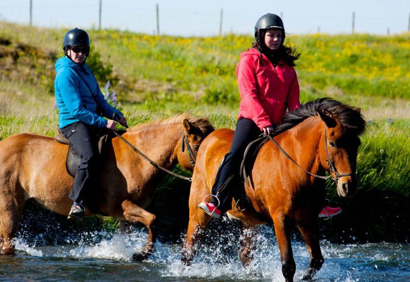 Reserva paseo a caballo termal