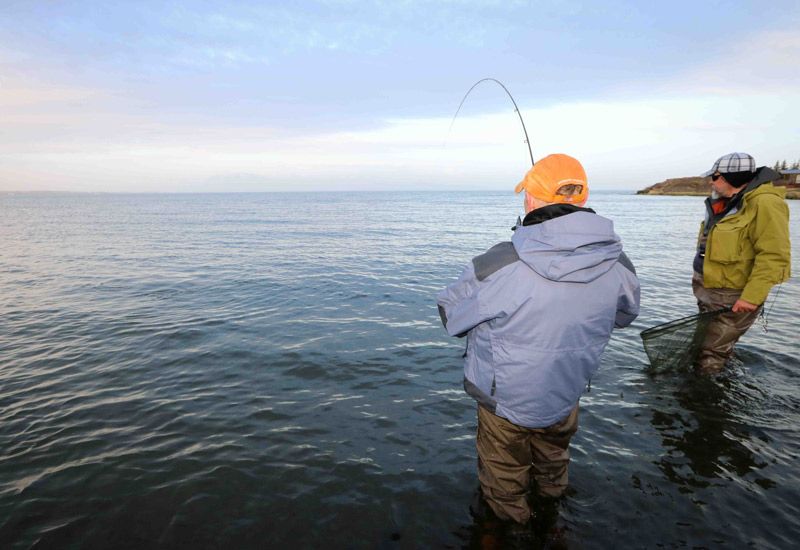 Tour de pesca Thingvellir Islandia