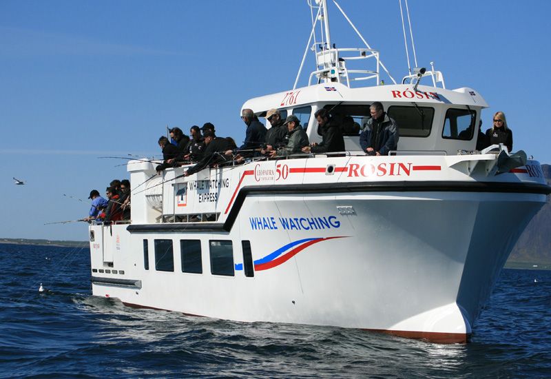 Excursión pesca marítima Islandia