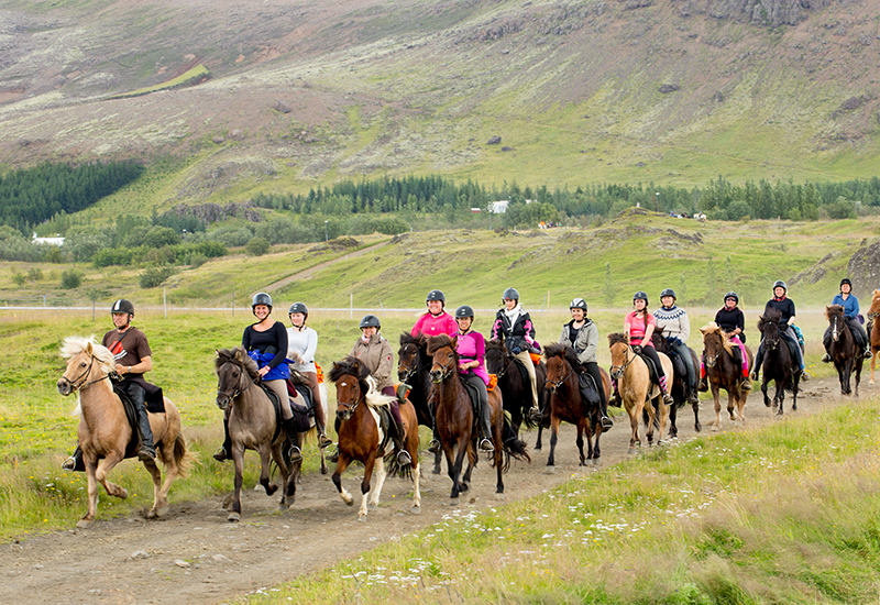 Tour guiado a caballo en Islandia