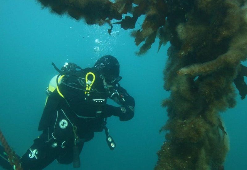 Buceo Islandia