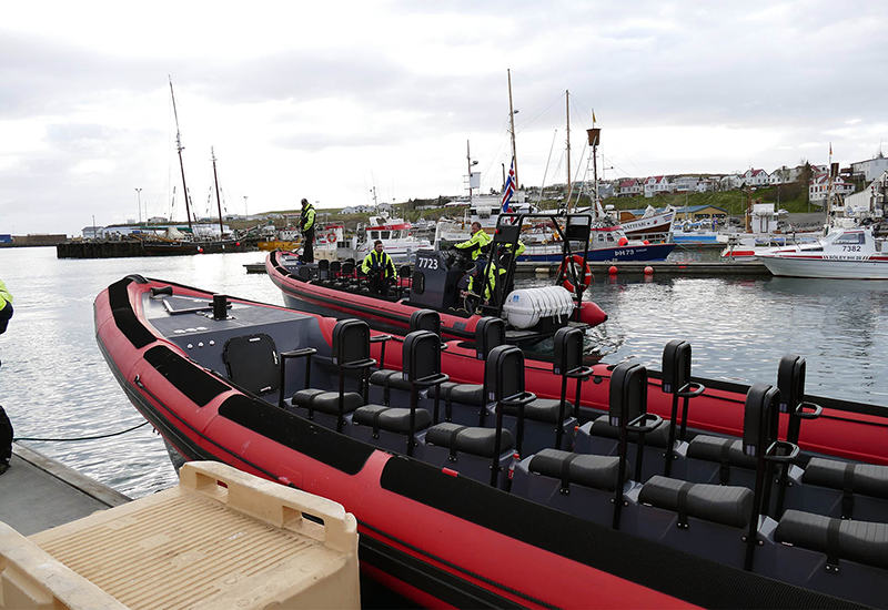 Ballenas en RIB Húsavík